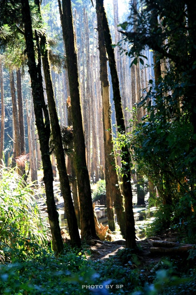 20101101 048 複製.jpg