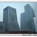 20090606~0021.jpg