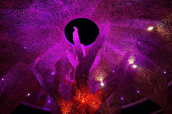 DSC00014 DSC00014