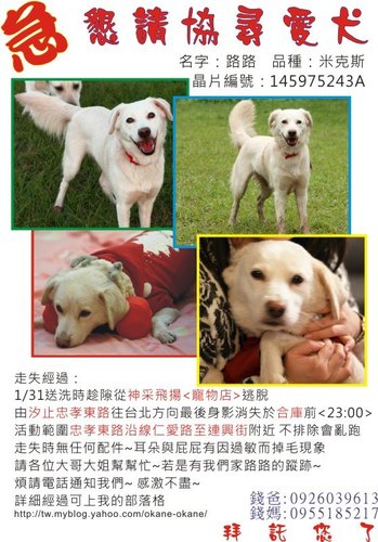 路路協尋.jpg 路路協尋.jpg