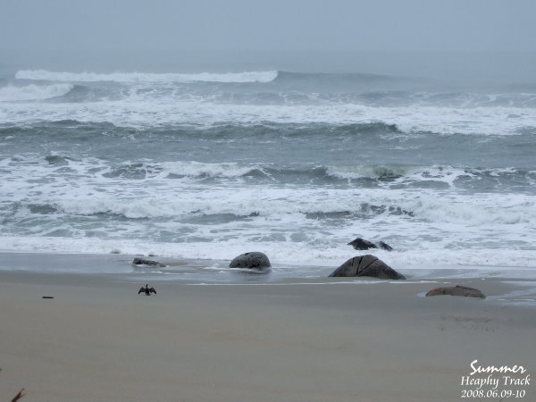 海邊路徑-4(Tasman Sea).JPG