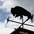 IMG_1836