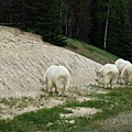 IMG_1940