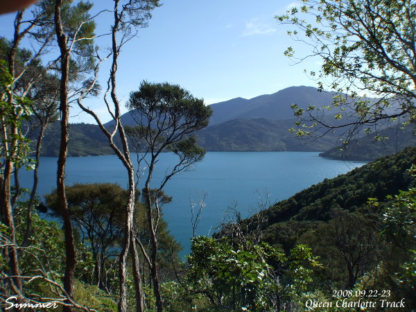 DSCF2993.JPG
