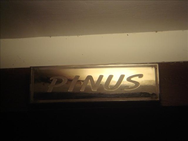 我們住的Villa叫PINUS