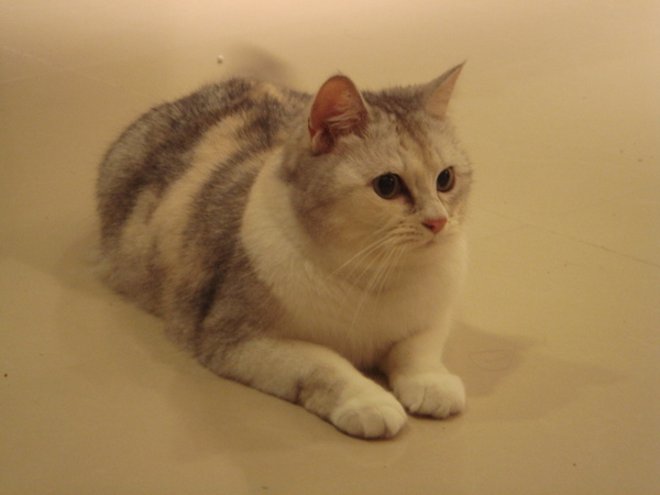 DSC00648