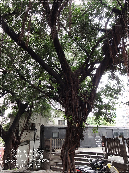 0529-38.JPG 0529-38.JPG