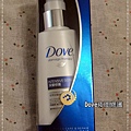 Dove01.jpg