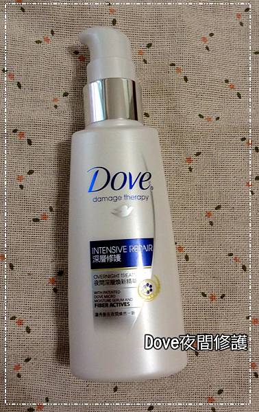 Dove03.jpg