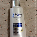 Dove03.jpg