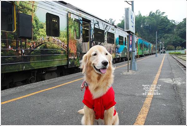 1222-112.JPG 1222-112.JPG