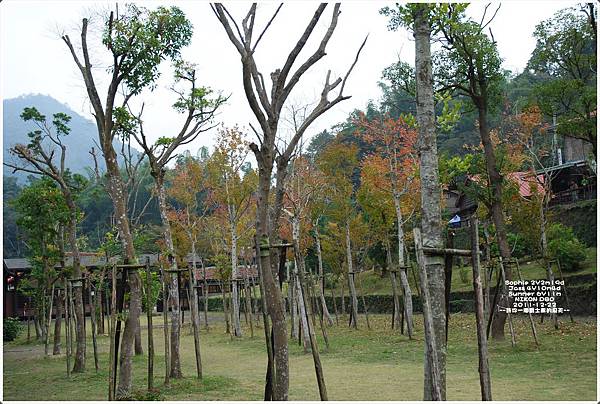 1222-134.JPG 1222-134.JPG