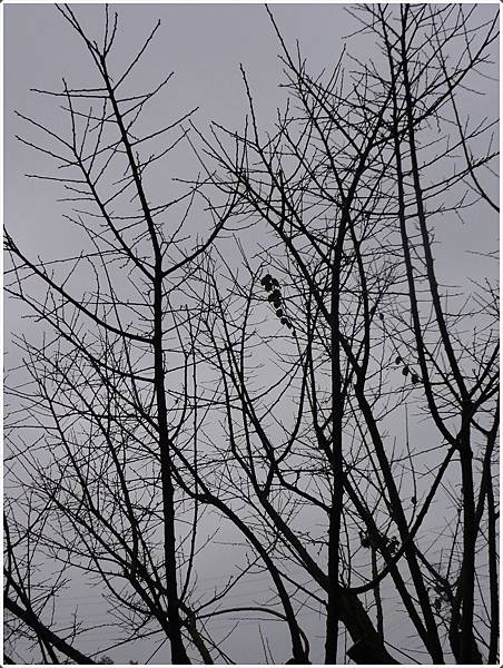 1222-144.JPG 1222-144.JPG