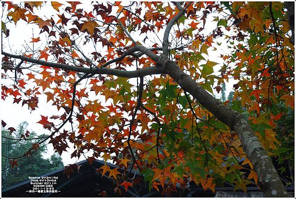 1222-148.JPG 1222-148.JPG