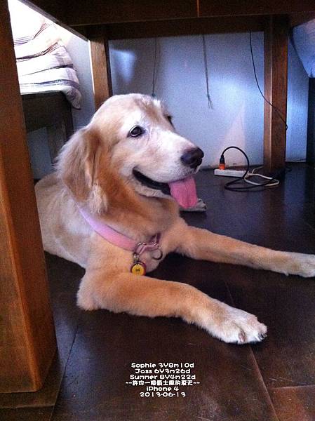 613-25.jpg 613-25.jpg