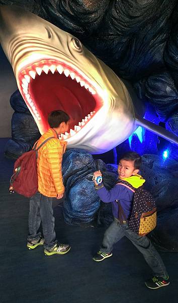 2016-01-01 11.53.20.jpg 2016-01-01 11.53.20.jpg