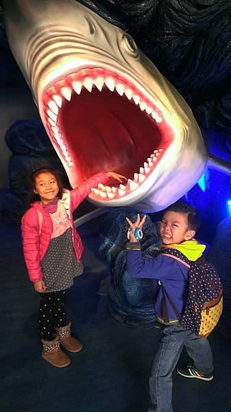 2016-01-01 11.53.38.jpg 2016-01-01 11.53.38.jpg