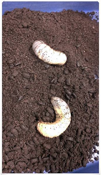 2015-12-19 11.04.34.jpg