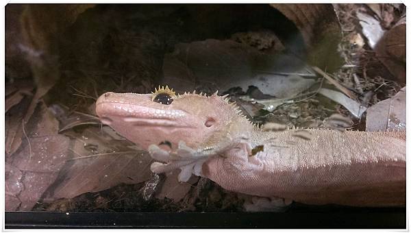 2015-12-19 11.15.22.jpg