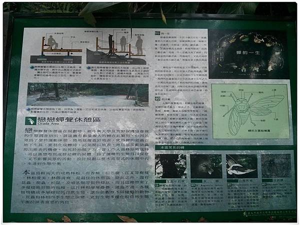 2015-12-19 12.35.53.jpg