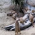 zoo-37.jpg