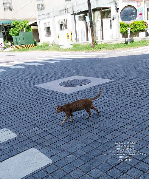 0810-047.jpg 0810-047.jpg