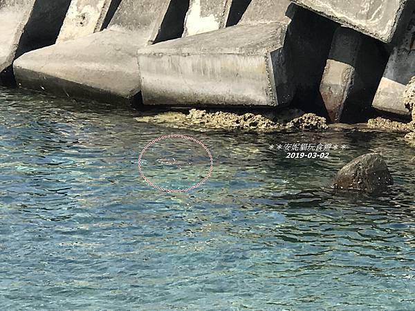 【2019228小琉球之旅】要有慧根的酋長岩&厚石群礁 【2019228小琉球之旅】要有慧根的酋長岩&厚石群礁