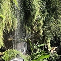 201004-10.JPG