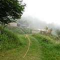 201009-11.JPG