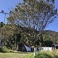 201009-26.JPG