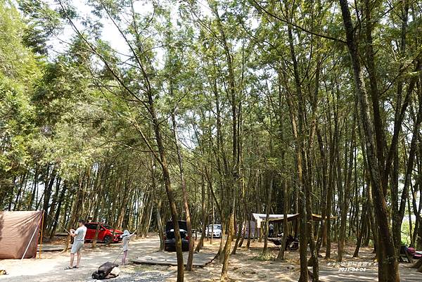 【南投。埔里】(第129露)今天你要草皮系還是森林系露營?. 【南投。埔里】(第129露)今天你要草皮系還是森林系露營?.