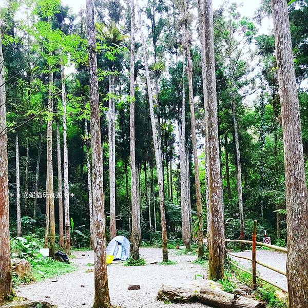 【新北。烏來】(第131露)原始之力．福山何方神聖慢活營露營