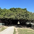 231210-12.JPG