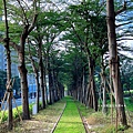 231210-33.JPG