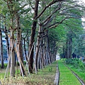 231210-32.JPG