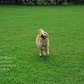 0501-006.jpg