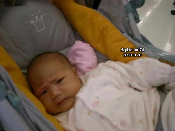 1120-02.jpg 1120-02.jpg