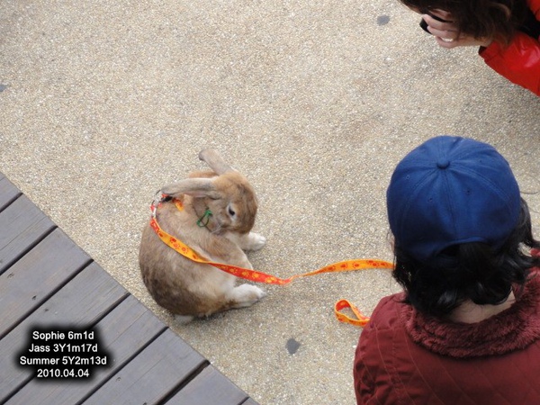 0404-39.jpg 0404-39.jpg