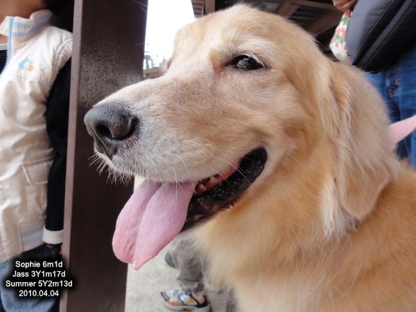 0404-49.jpg 0404-49.jpg