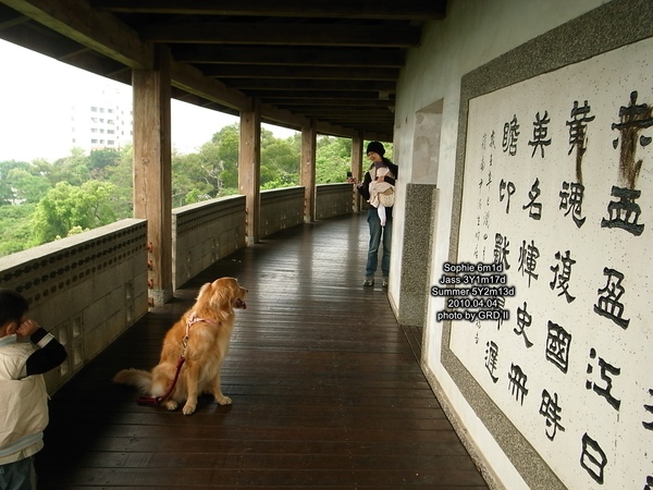 0404-52.jpg 0404-52.jpg