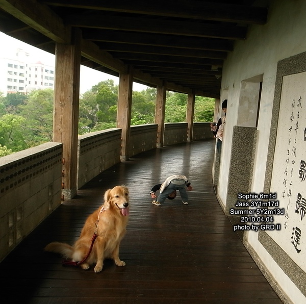 0404-54.jpg 0404-54.jpg