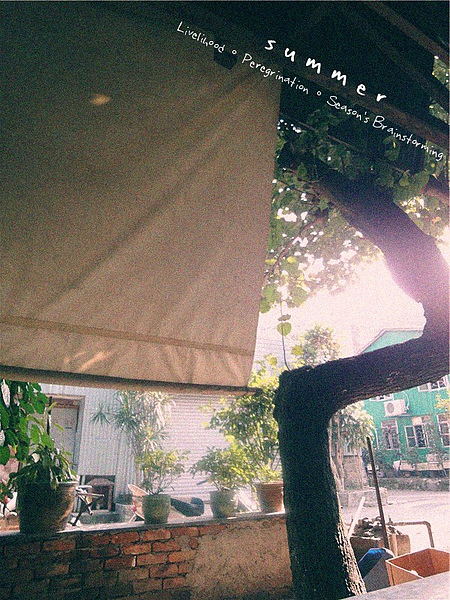 DSC02976_副本.jpg DSC02976_副本.jpg
