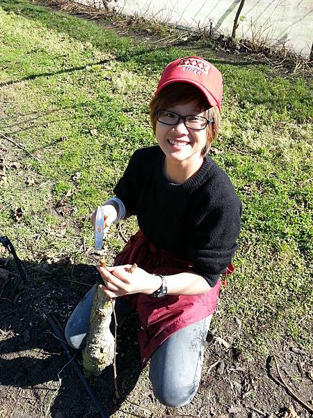 CameraZOOM-20130809120946630.jpg CameraZOOM-20130809120946630.jpg