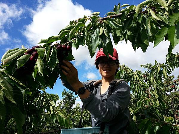 CameraZOOM-20131216102331504.jpg CameraZOOM-20131216102331504.jpg