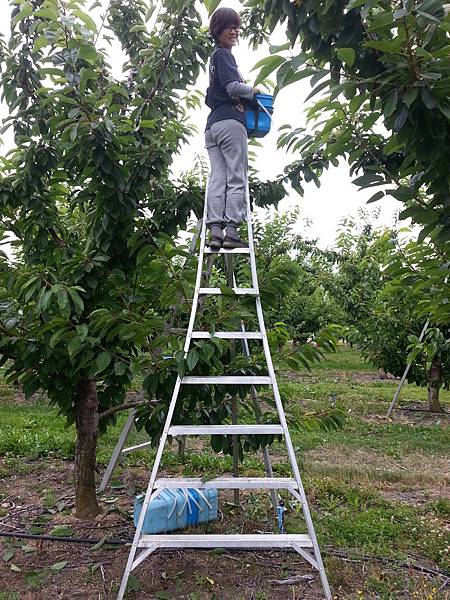 CameraZOOM-20140131094728575.jpg CameraZOOM-20140131094728575.jpg