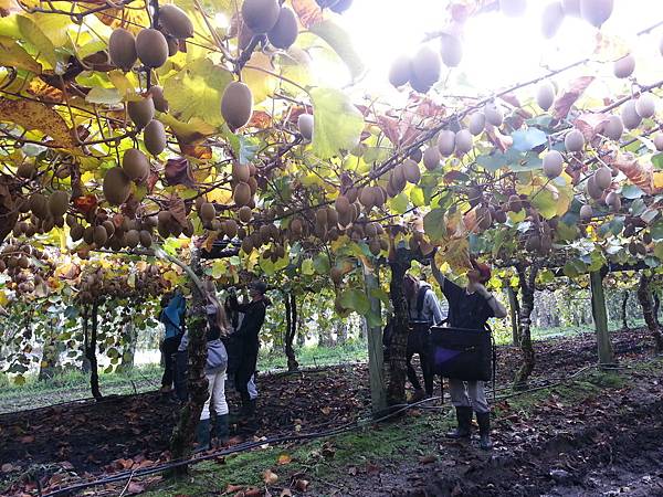 CameraZOOM-20140509142521749.jpg CameraZOOM-20140509142521749.jpg