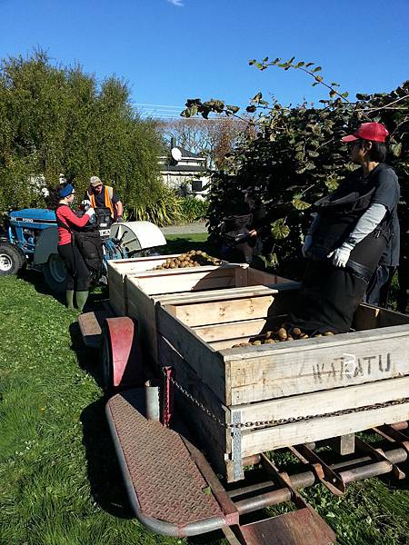 CameraZOOM-20140528130908065.jpg CameraZOOM-20140528130908065.jpg