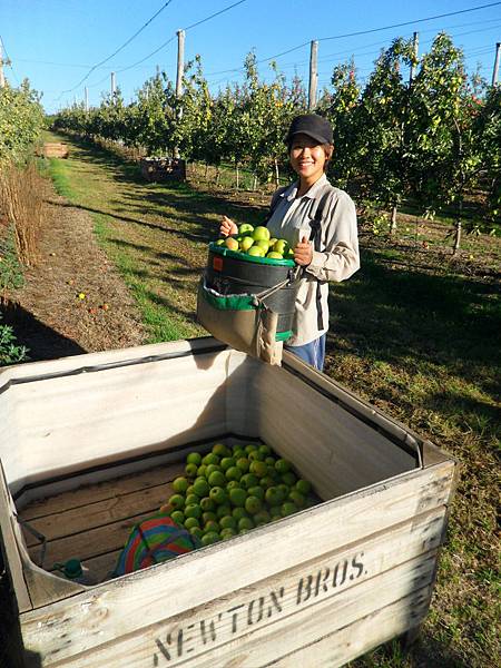 SAM_0055.JPG SAM_0055.JPG