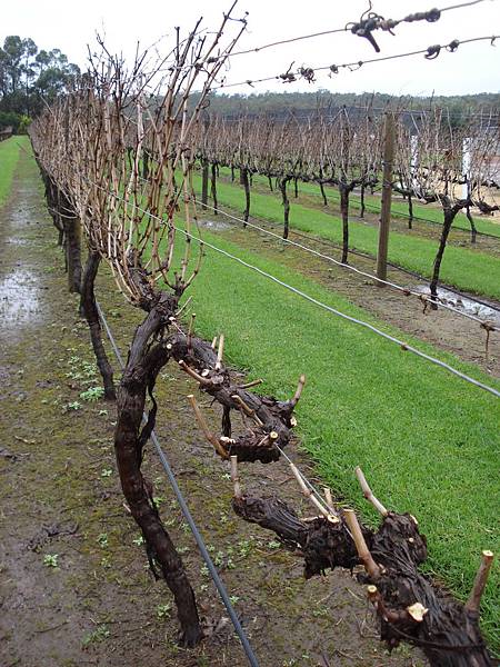 DSC03605.JPG DSC03605.JPG