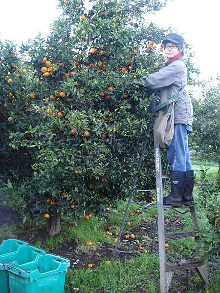 DSC03521.JPG DSC03521.JPG